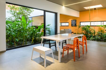 The Colour Burst House